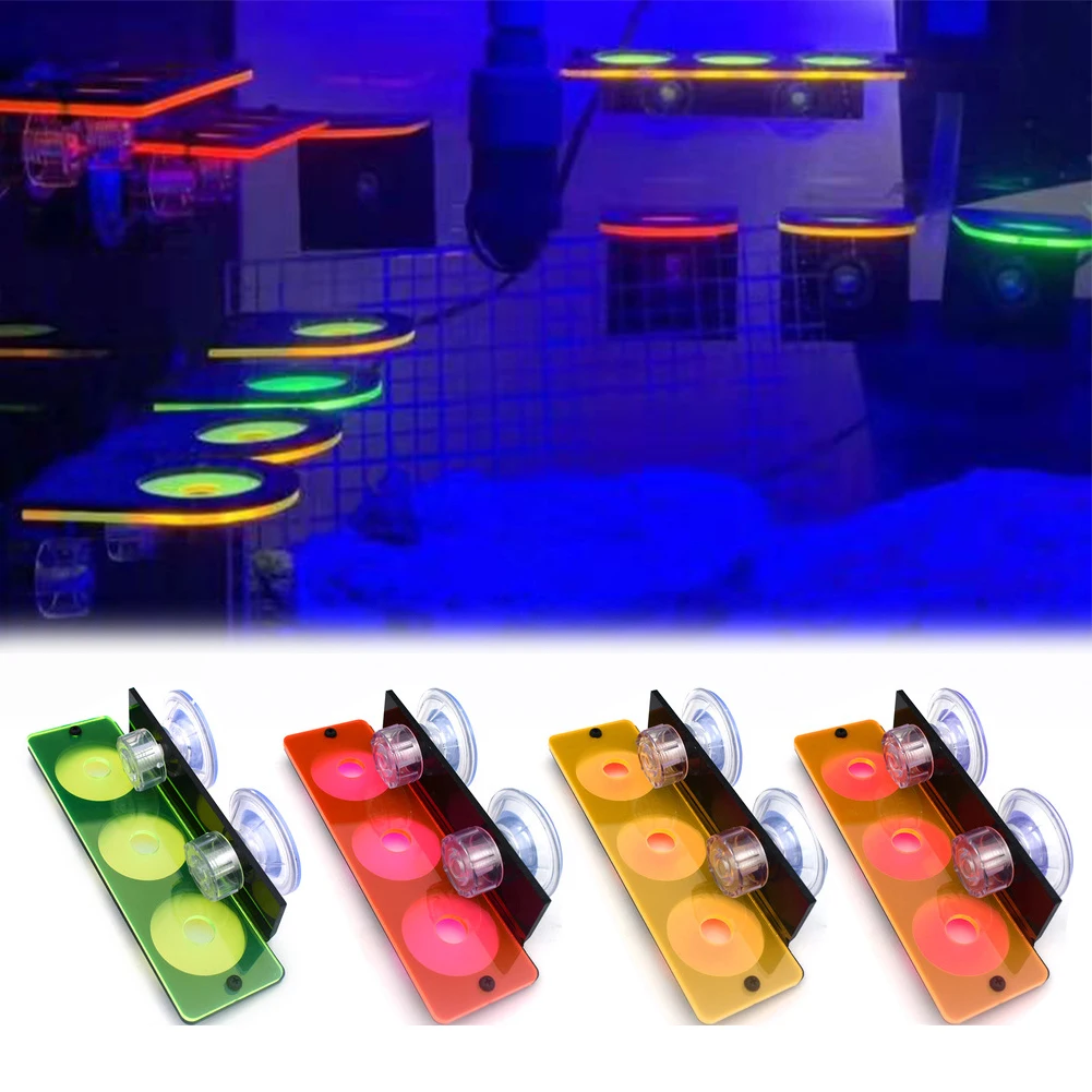 

Coral Frag Rack Fish Tank Fluorescence Coral Frag Rack Bracket Acrylic Aquarium Reef with Plugs Holder Suction Cup Accessories