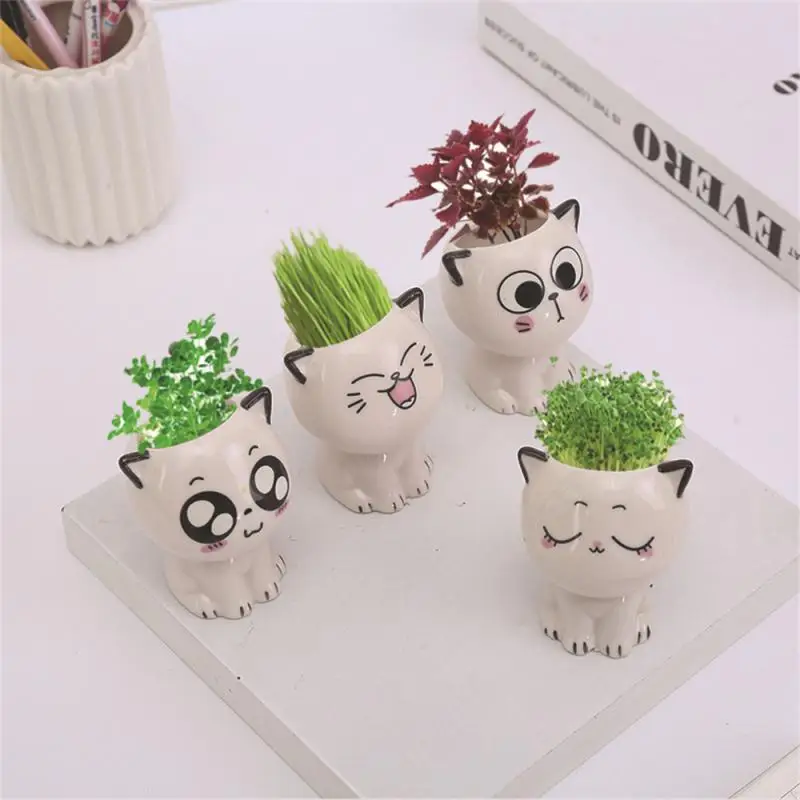 

Super Easy To Maintain Mini Bonsai Various Styles Germinate In About A Week Ceramic Vase Cartoon Tabletop Potted Plant Mini