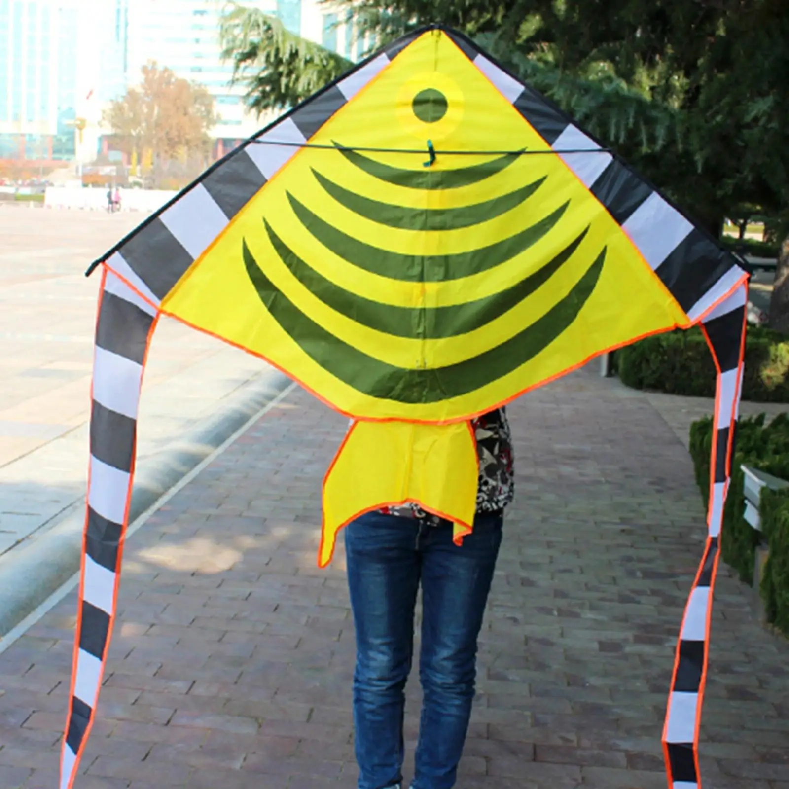 

Beautiful Fish Kite with String Long Tail Kite for Kids Ages 6 8 9 12 Adults