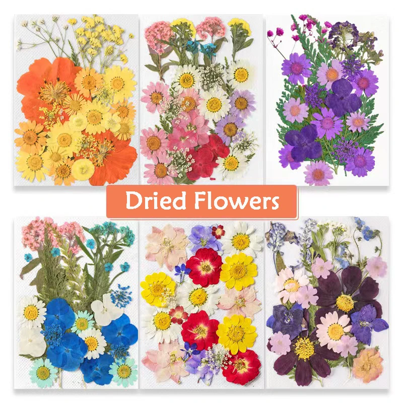 

1Bag Dried Flowers Pressed Flowers Stickers for DIY Phone Case Epoxy Resin Filling Pendant Jewelry Making Crafts Nail Art Decor