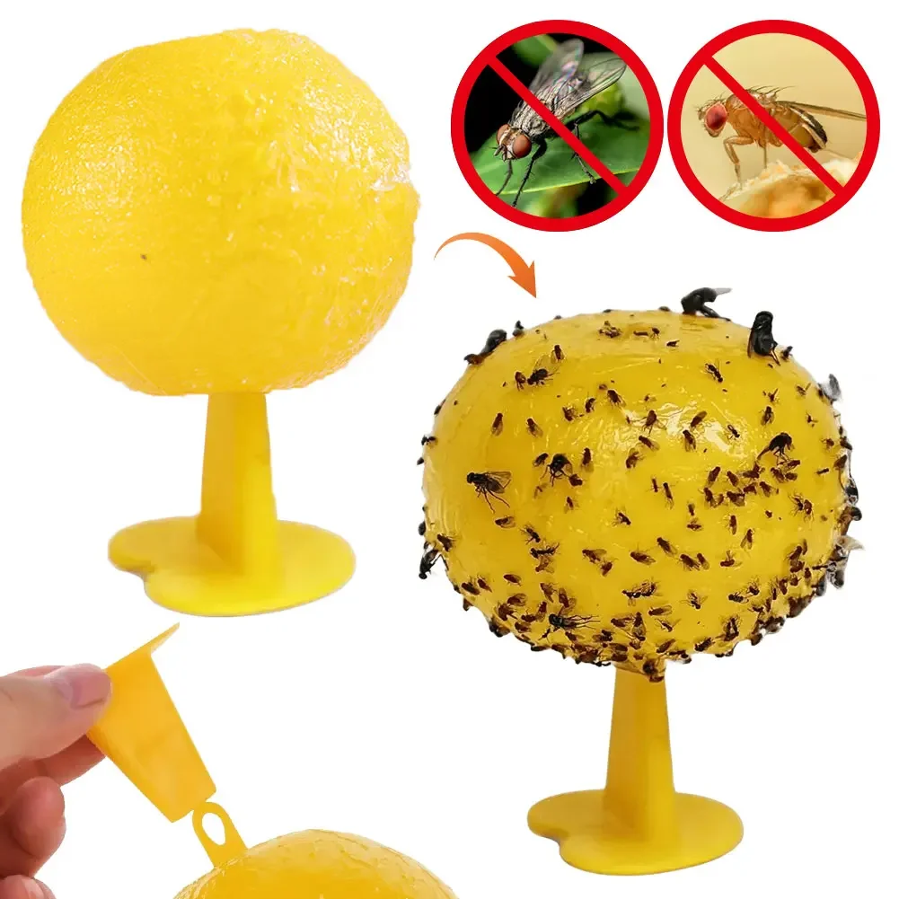Ловушка для насекомых и фруктов многоразовая ловушка