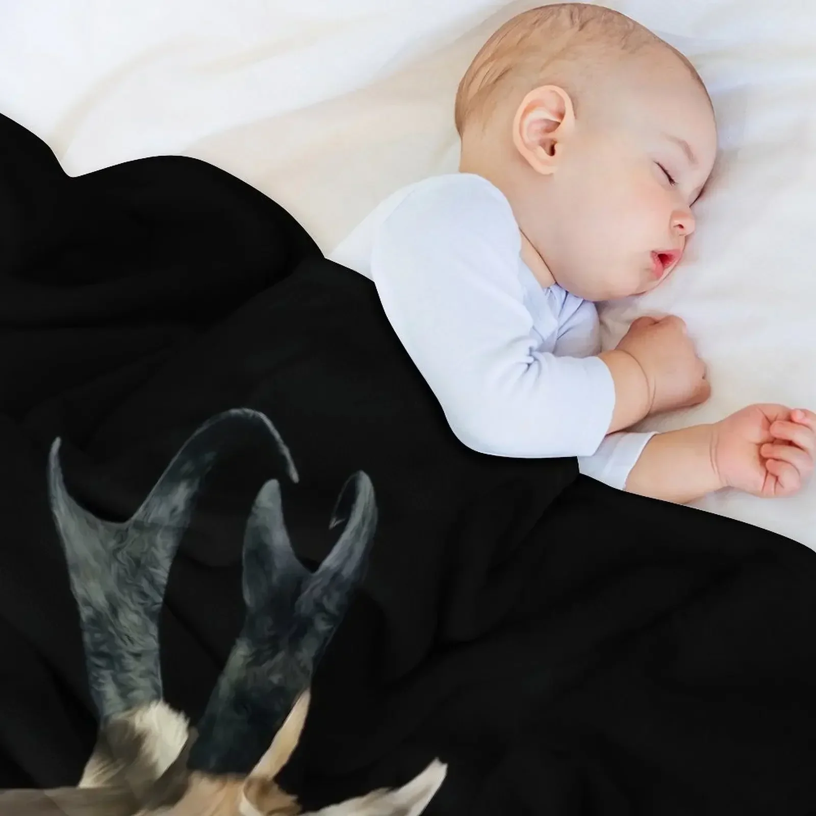 Pronghorn Antelope Throw Blanket manga wednesday christmas decoration Weighted Blankets