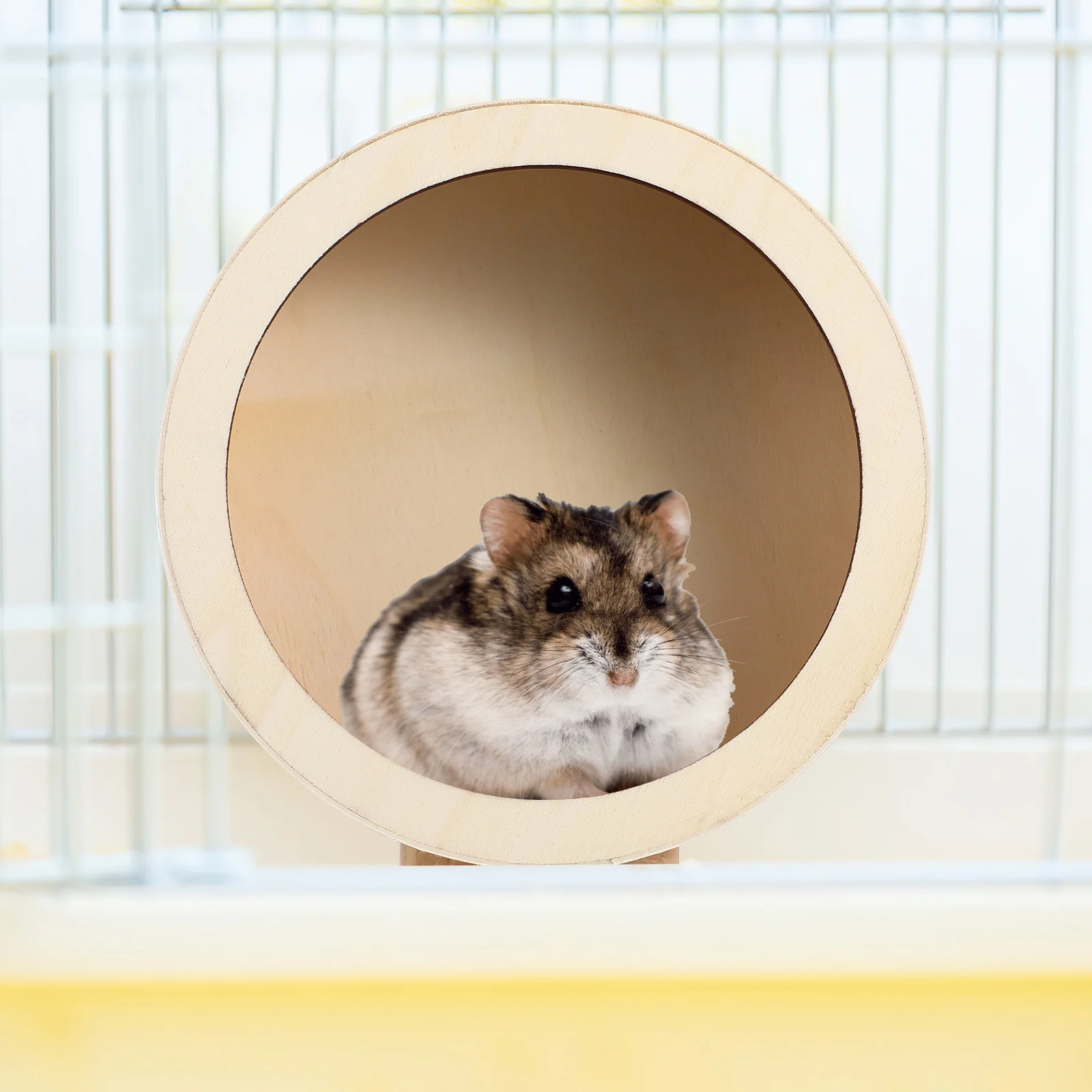 Игрушки для морской свинки хомяк колесо упражнений домашних животных кролик