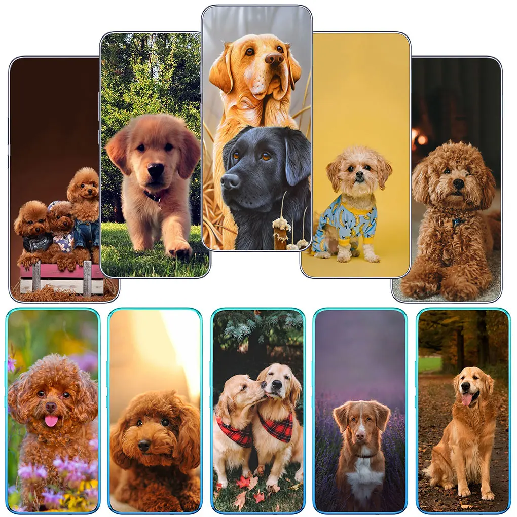 Golden Retriever Poodle Dog Cover Phone for Samsung Galaxy A04 A05 A14 A15 A23 A34 A54 M23 M33 M52 M53 M31 M51 M21 Soft Case