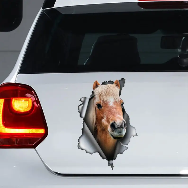 

Pony decal, Pony car sticker, Pony magnet, horse decal