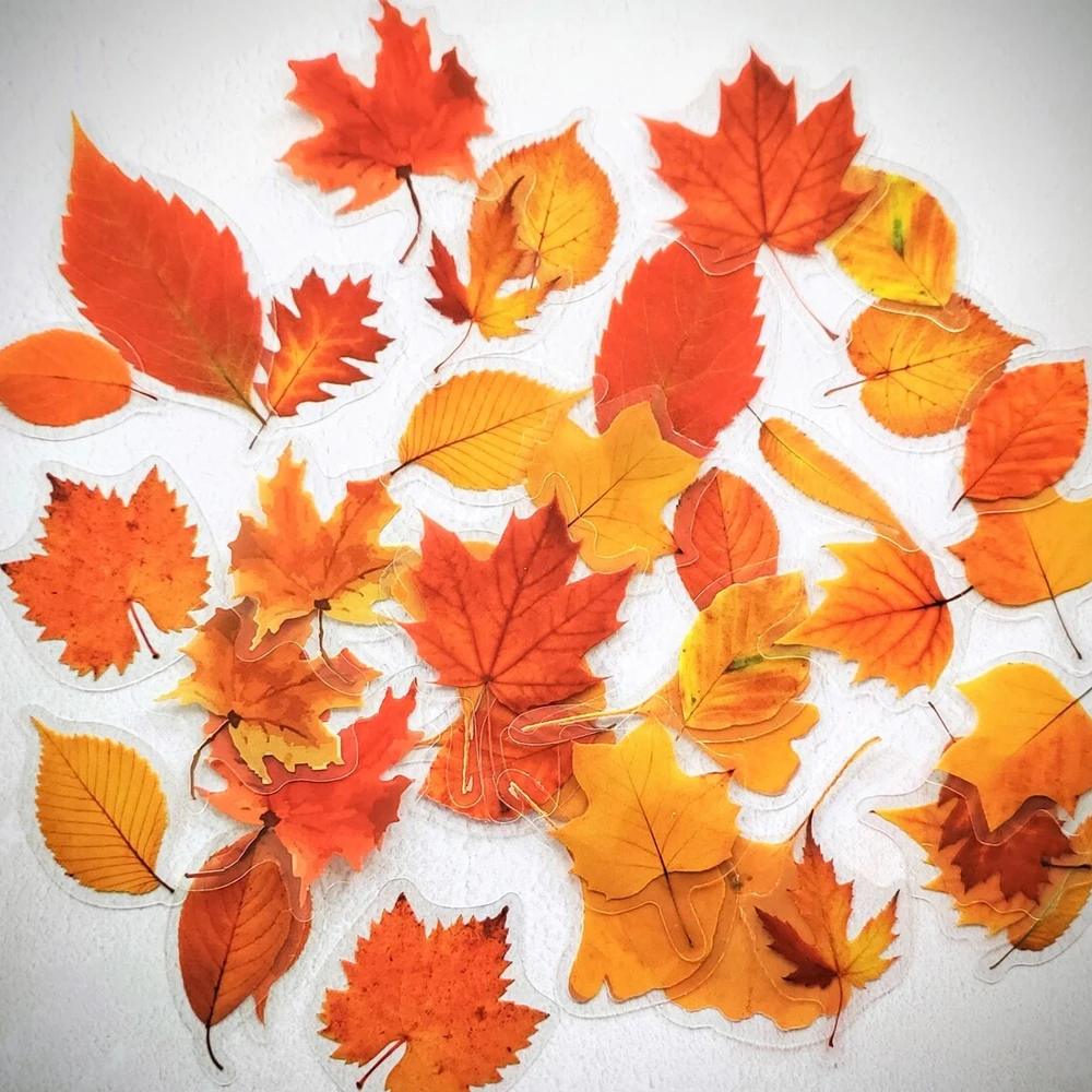 

Set of 40 Transparent Fall Leaves Stickers, Autumn Leaves Decals for Scrapbook, Journal, Planner DIY Craft Decoration