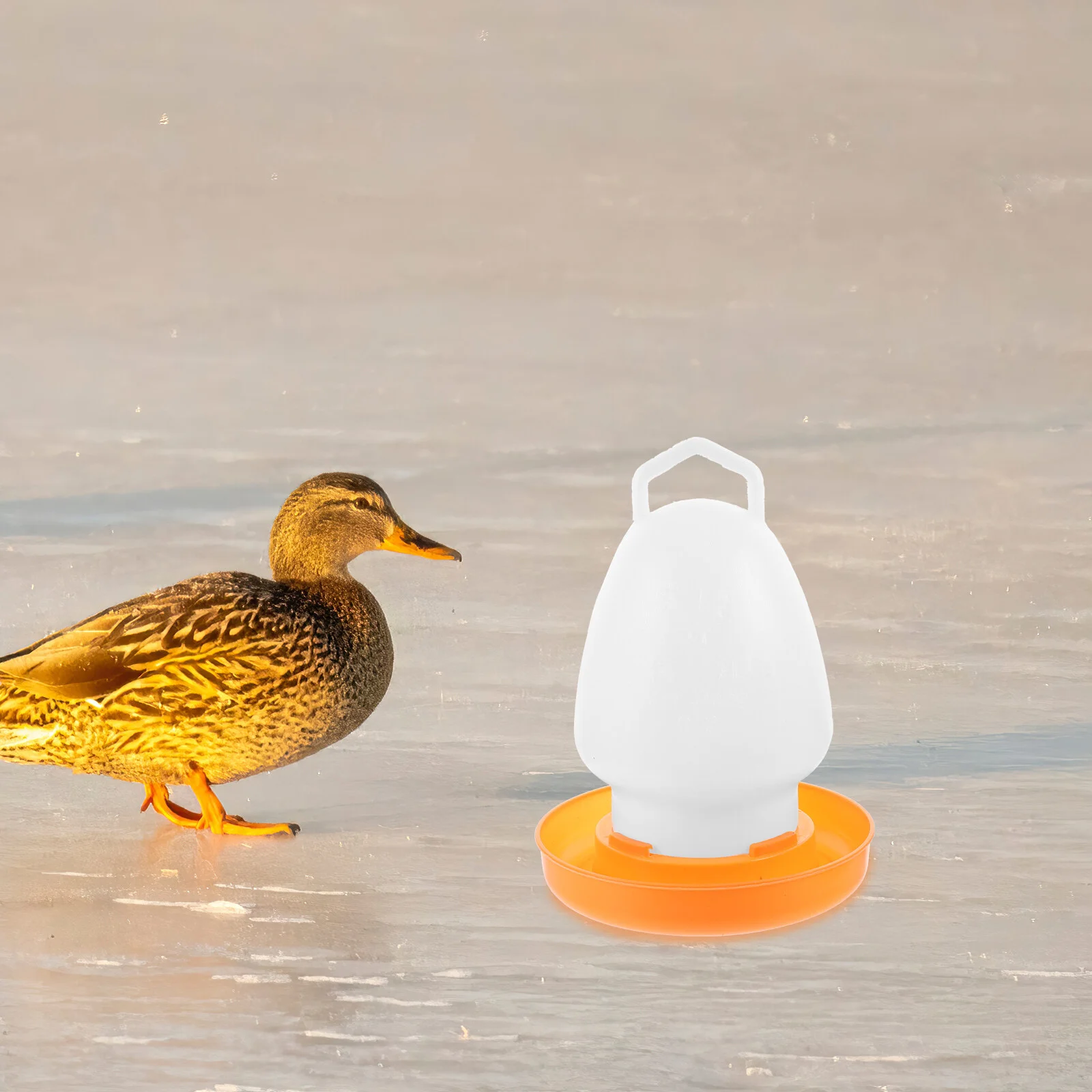 

Automatic Poultry Feeder Waterer- Hanging Poultry Fountain, Poultry Waterer for Chicken Quail Duck