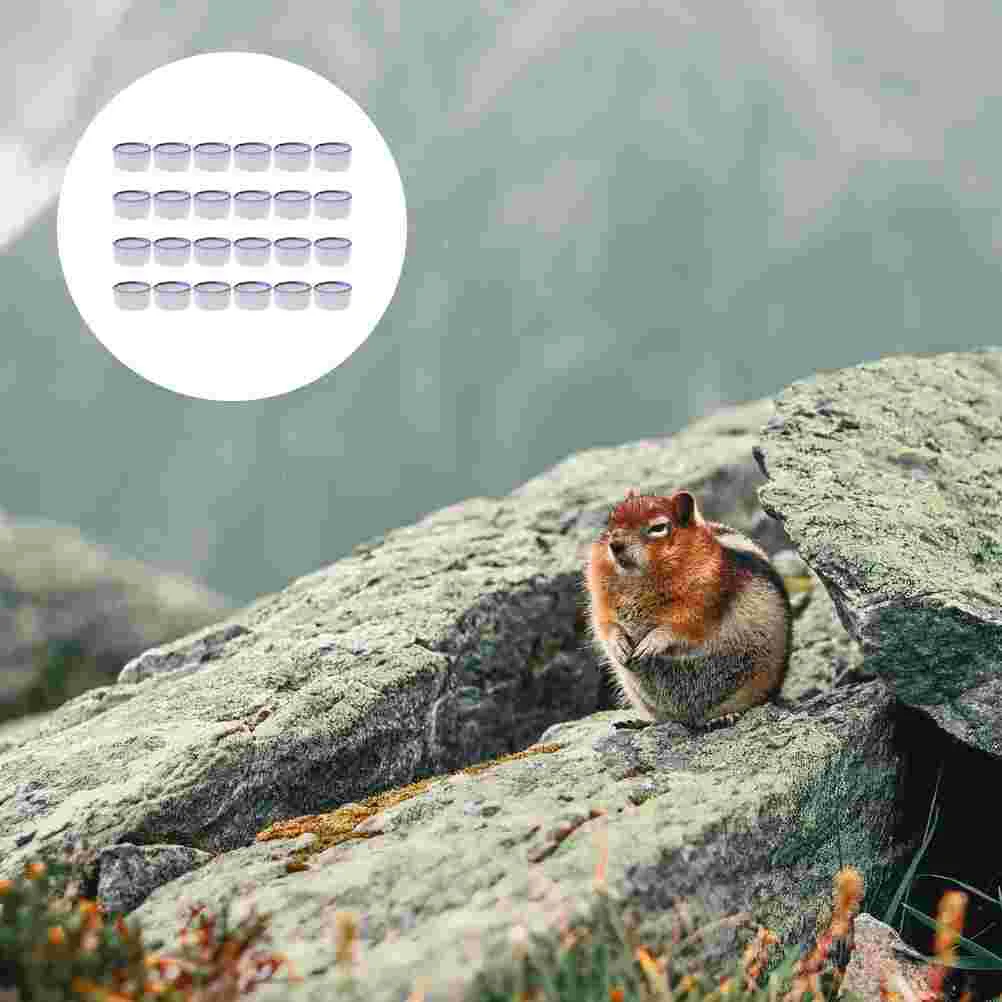 24 шт. корыто для воды пауки контейнер питья рептилия керамическая раковина еда