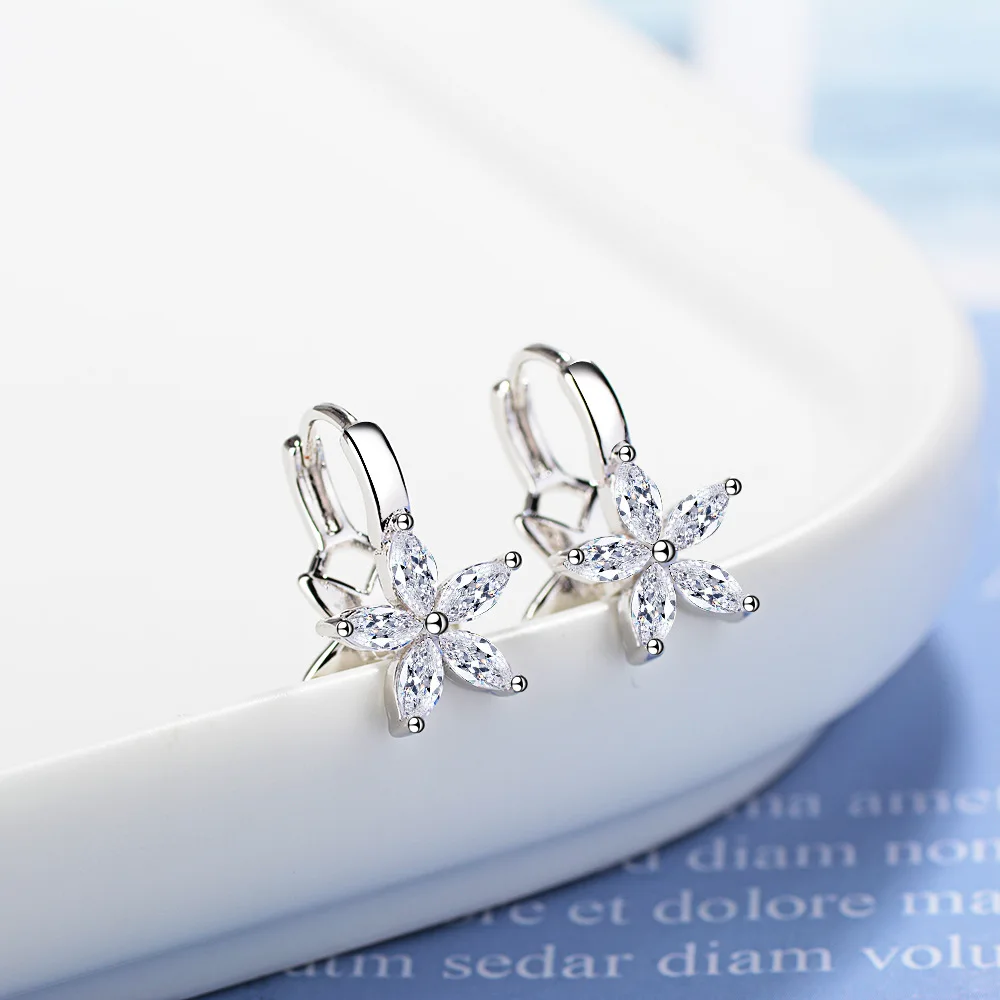 

Star Zircon Small Earrings For Women Korean Fashion Ring Stud Earrings 2022 New Luxury Jewelry Christmas Free Shipping GaaBou