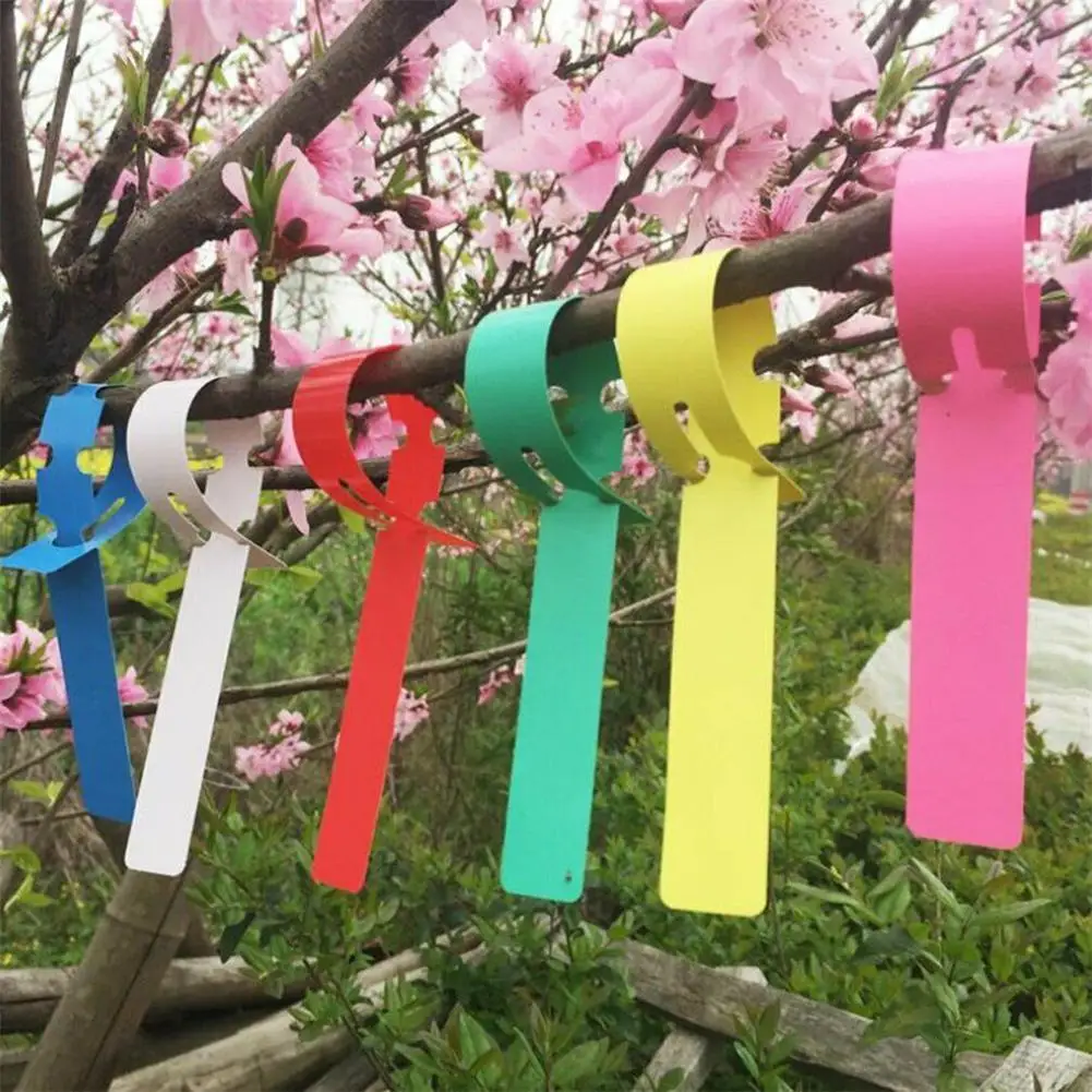 

100PCS Plastic Plant Tree Hanging Markers Tags Nursery Seed Gardening Labels New
