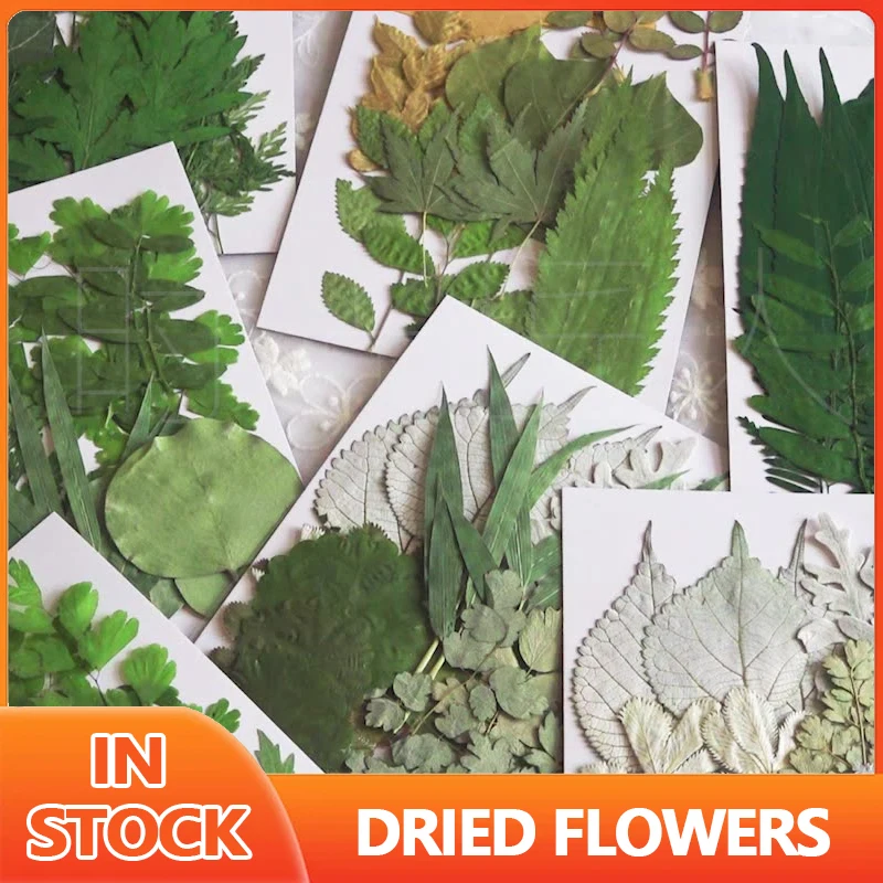 

1Bag Natural Dried Flowers Pressed Flowers Stickers for DIY Phone Case Epoxy Resin Filling Pendant Jewelry Making Crafts New