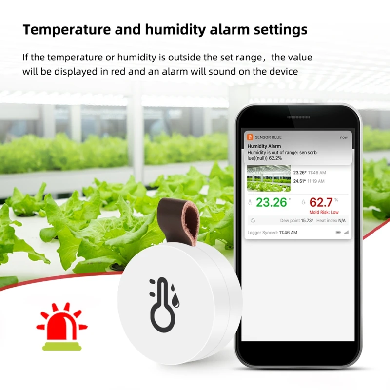 

High Accuracy Temperature Humidity Monitor Wireless Digital Temperature Humidity Monitor Hygrometer with App Control