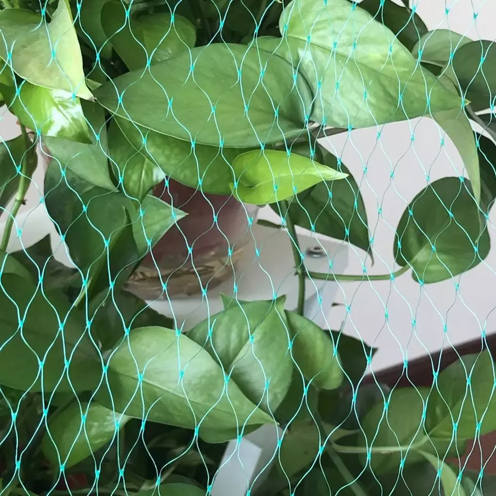 

2022JmtGarden Plant Protection Nylon Net Plant Vines Climbing Support Crops Fruit Vegetable Anti Bird Protective Net Orchard Far