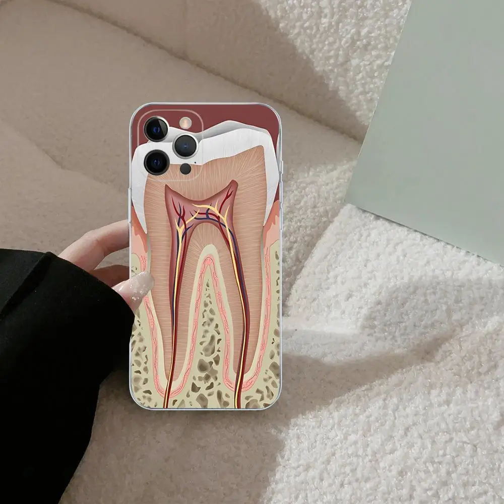 Чехол для телефона с зубами дантиста iPhone 15 14 13 12 Mini 11 Pro XS Max X XR SE 6 7 8 Plus мягкий