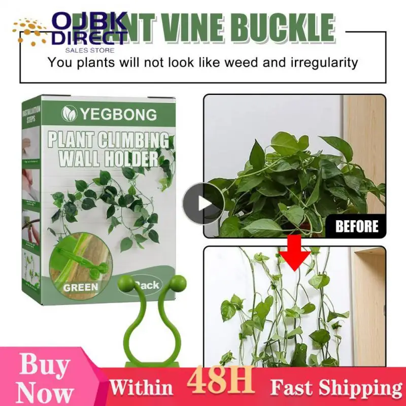 

Space Saving Wall Vines Fixture Invisible Plastic Wall Rattan Clamp Sticky Strong Suction Knob Plant Climbing Wall Clip