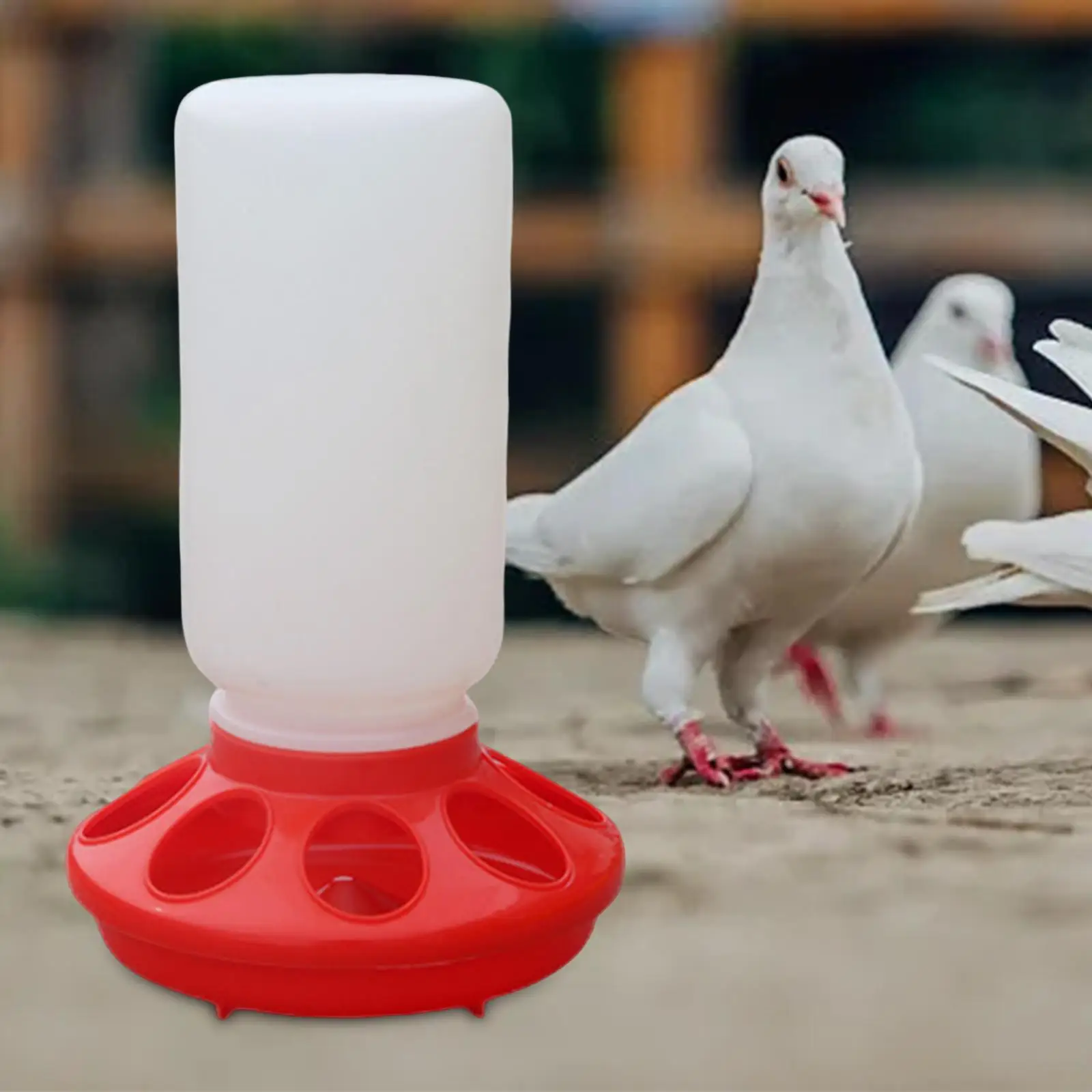 

Кормушка для птиц, птицеводческий дозатор для голубей