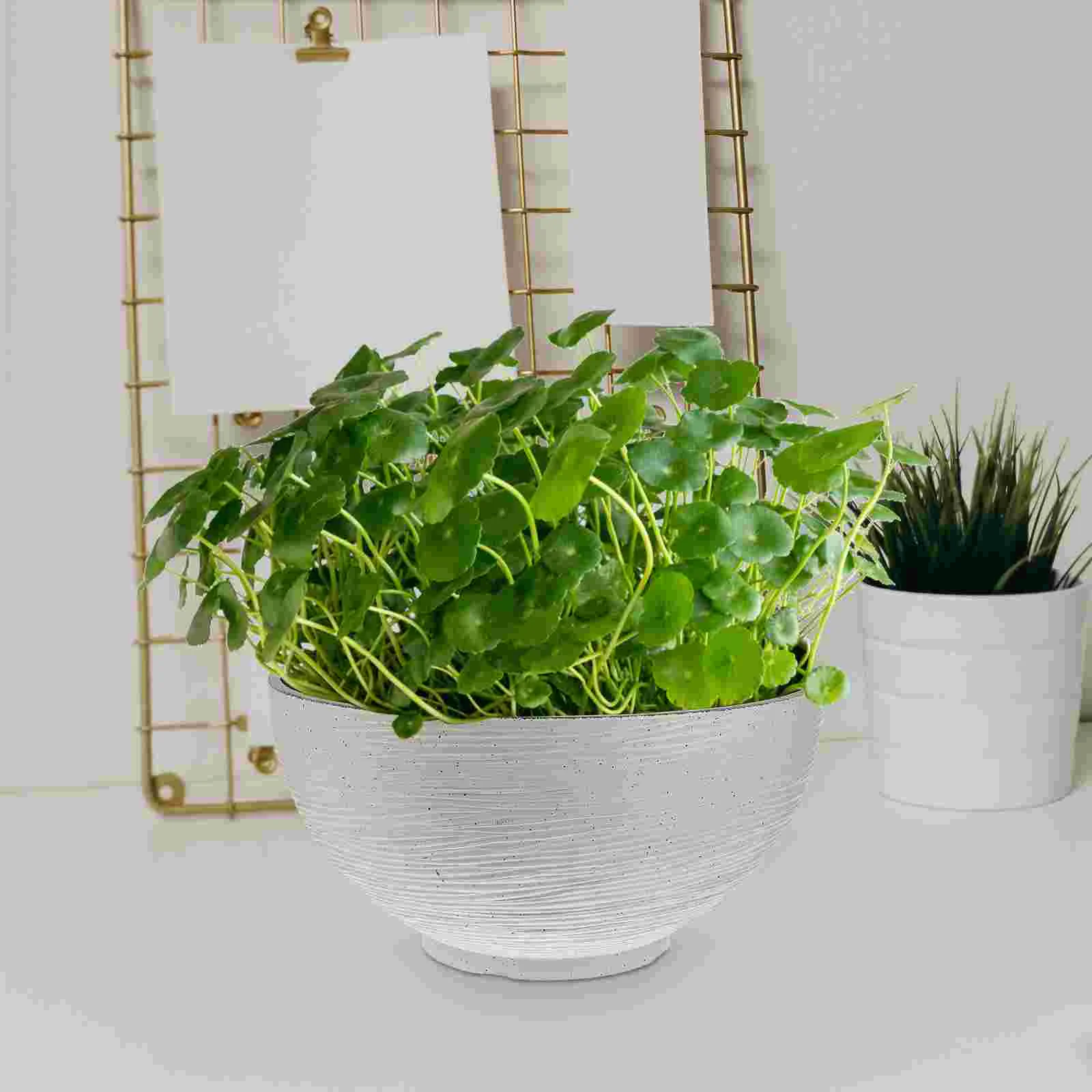 Имитация камня горшок с лилией нарцисс гидропонное растение декоративный