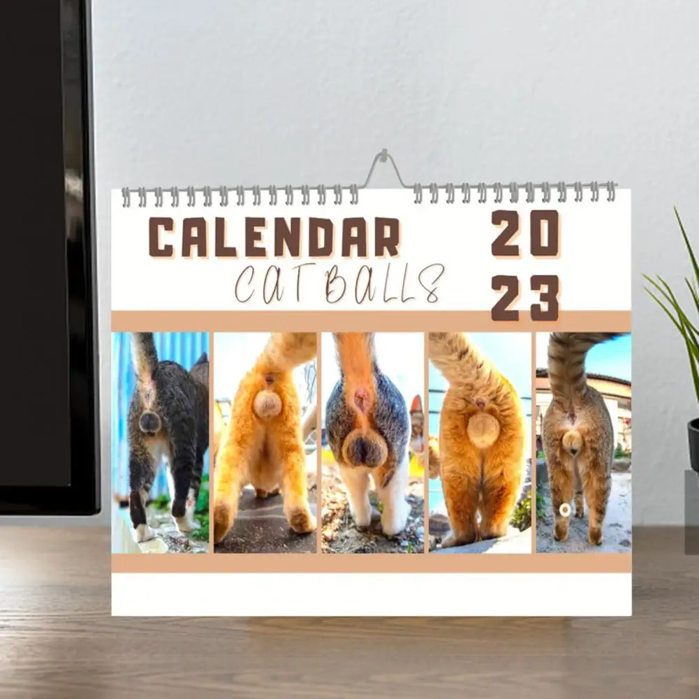 

Practical 2023 Calendar Coated Paper Cats Buttholes Calendar Decorative 2023 Cat Pattern Academic Calendar Notes Writing
