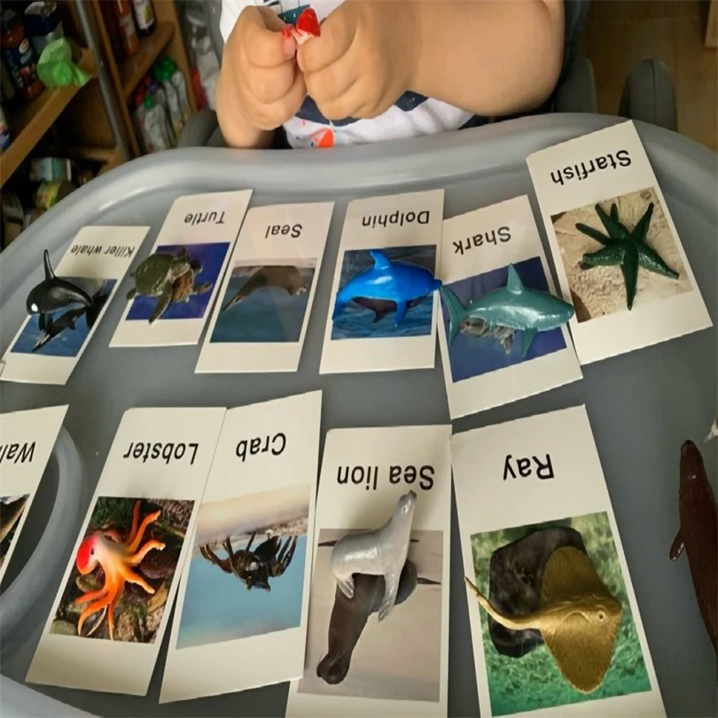 

Montessori Language Material Animal Matching Cards Toys For Kids 2 To 4 Years Old Teaching Aid Toys For Children G86Y