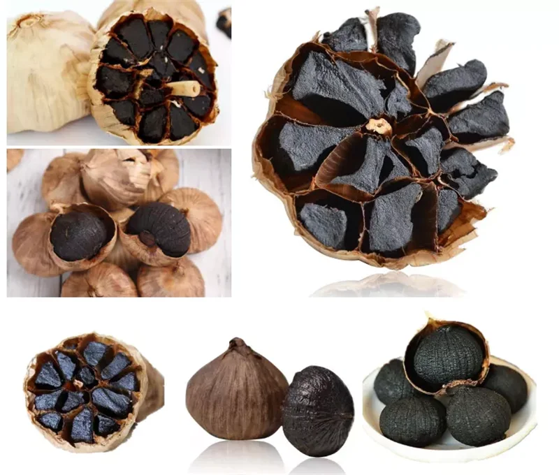 Рисунок 4 - Камера для брожения Черного Чеснока