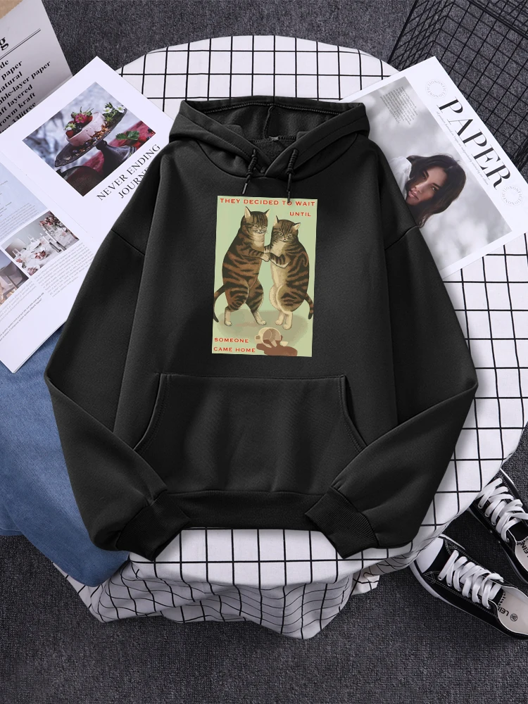 

No One's Fault Really Cute Cat Print Woman Hooded Cute Manga Pullover Vintage Long Sleeves Funny O-Neck Comfortable Women Hooded