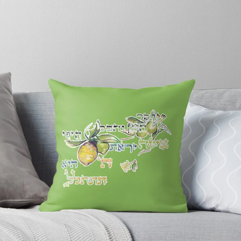 Благородная женщина-Eshet Chayil-мишли 31:30 диванная подушка Подушка Наволочка для