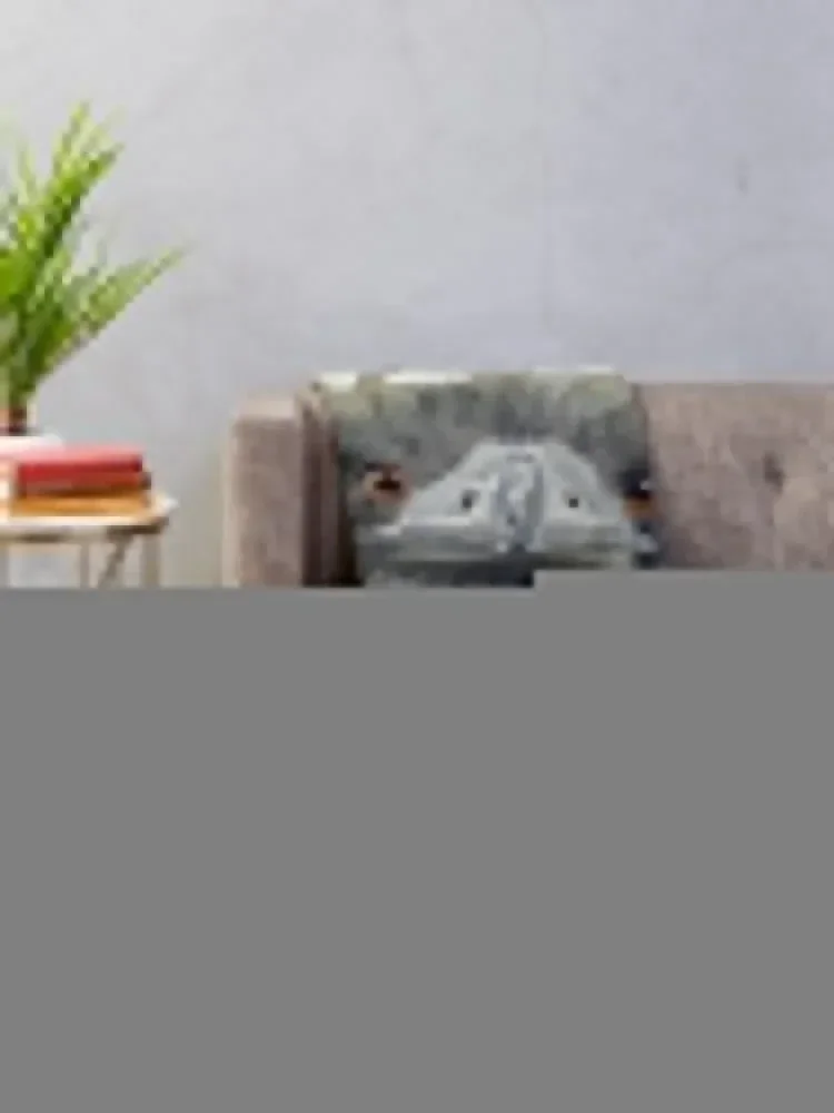 Страус. Я босс! Фланелевое детское одеяло