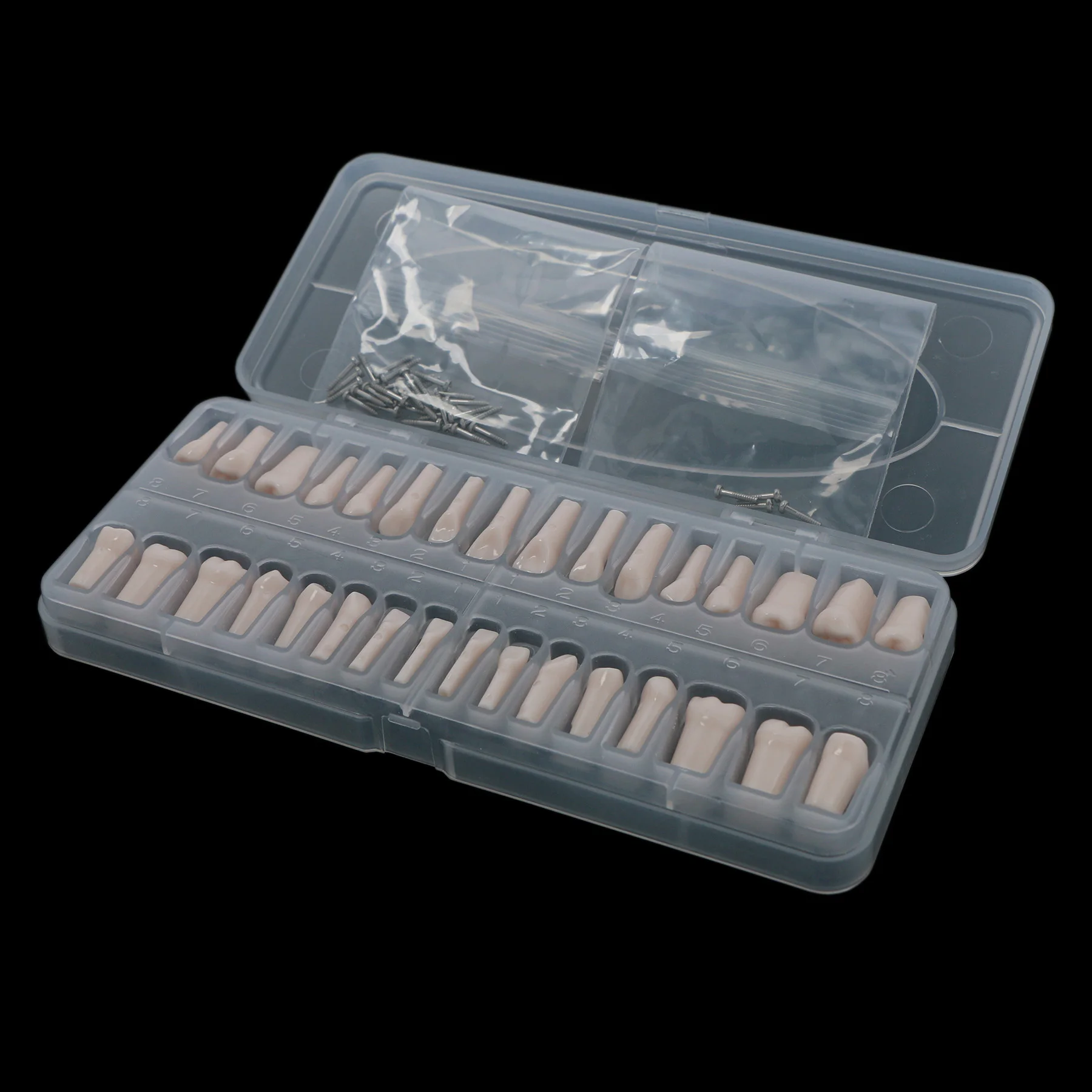 32 шт. Kilgore NISSIN 200 Тип стоматологические модели зубов Typodont для стоматологических