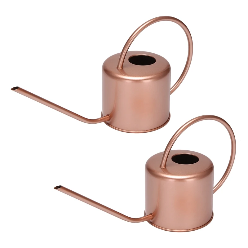 

2X 1300Ml Watering Can Metal Garden For Home Flower Water Bottle Easy Use Handle For Watering Plant Long Mouth Tool