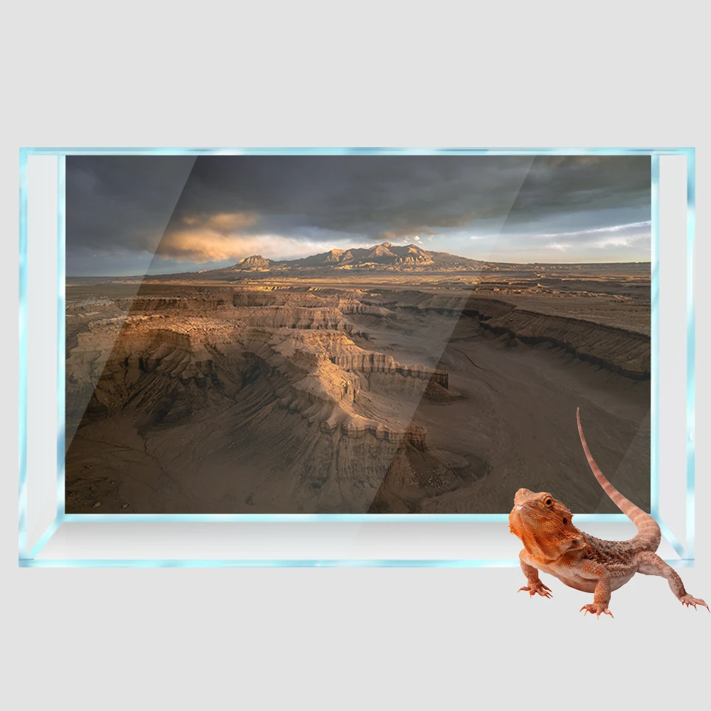 

Reptile Habitat Background Valley Desert 3D HD Printing Wallpaper Fish Tank Aquarium Background Decorations PVC Landscape Poster