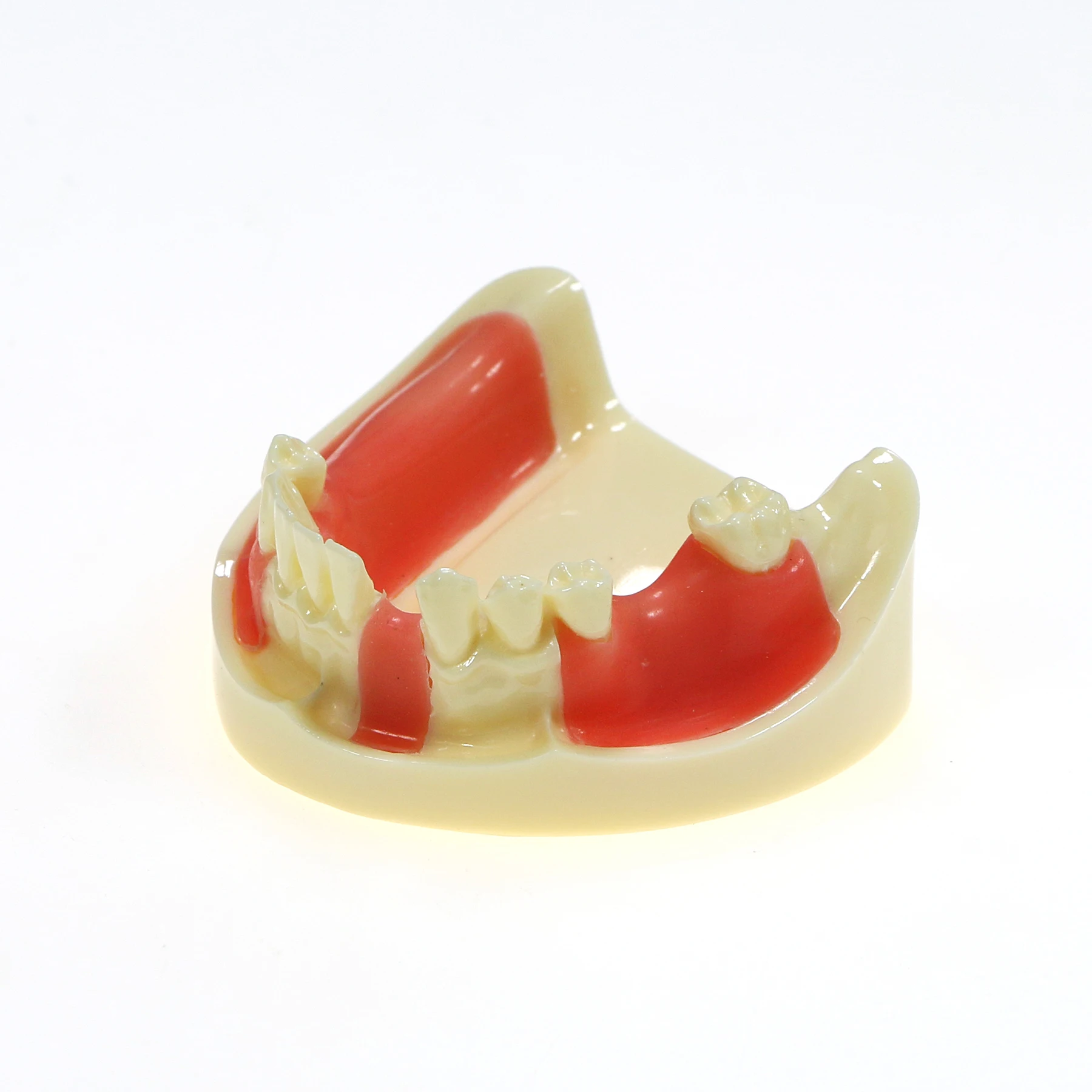 Съемная модель нижних зубных щеток Gingiva M2004