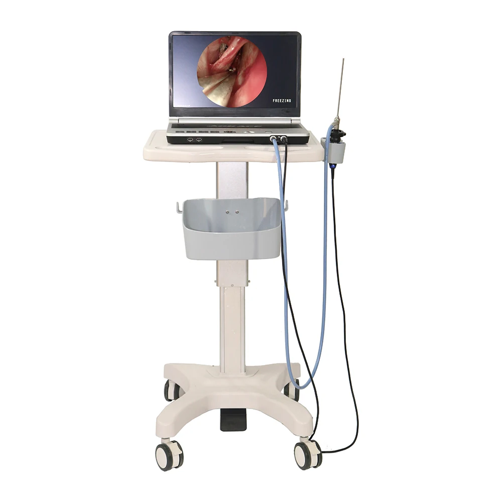 

All-in-one Portable Endoscope Camera System 3 in 1 monitor CCD camera and light source integrated endoscopy camera