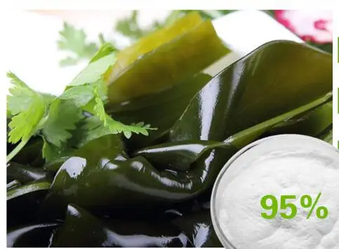 

Fucoidan 95% fucoidan kelp extract, multifunctional ,quality raw materials 100g