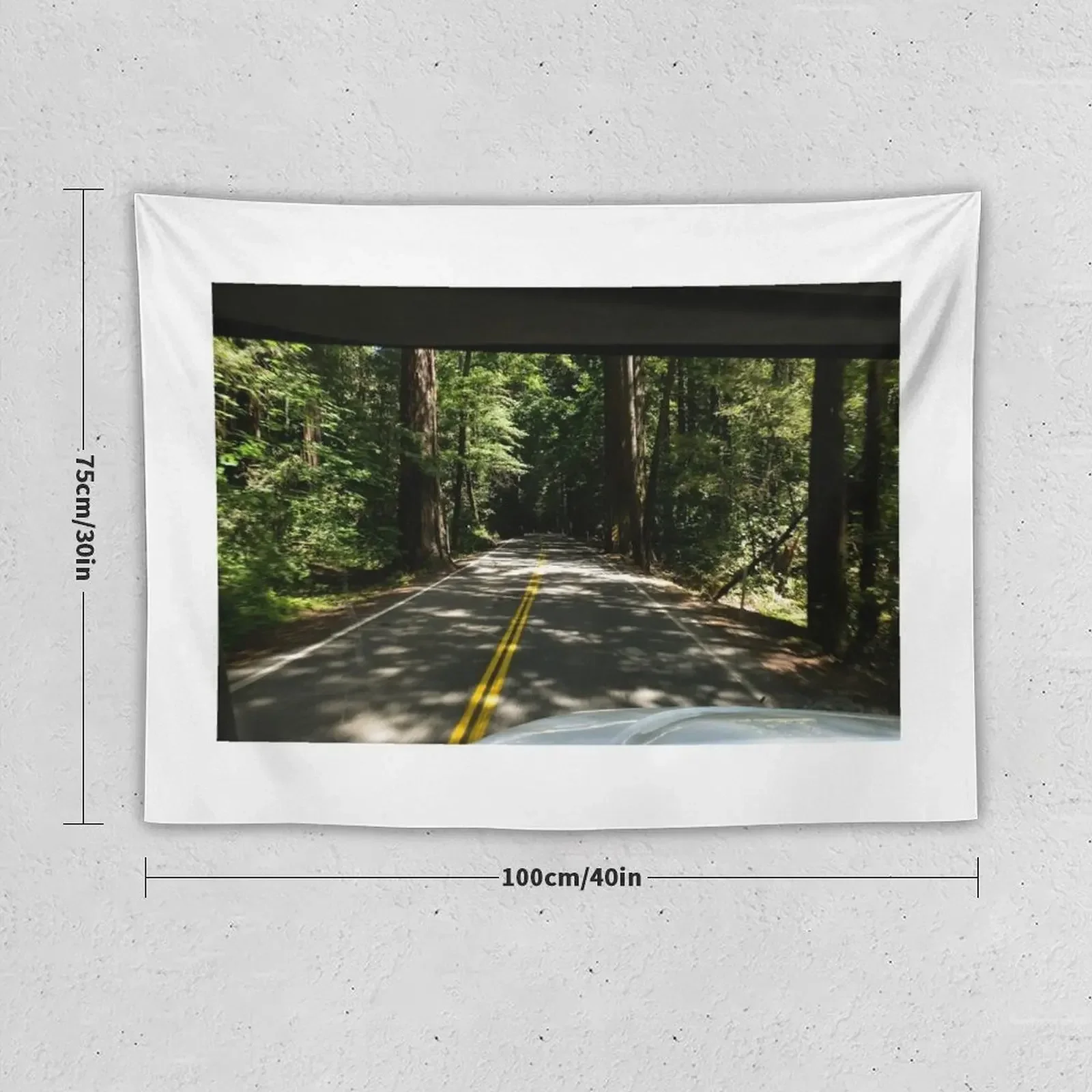 Колидсон Гроув SP хумбольдт Калифорнийский гобелен украшение для гостиной