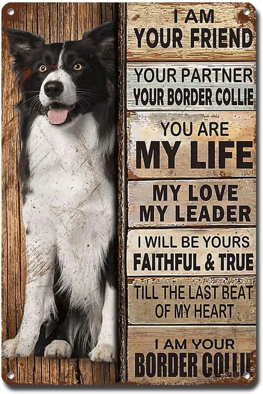 

Metal Sign Tin Sign Vintage Wall Art I Am Your Friend Gift for Border Collie Lovers Vintage Wall Art Prints Metal Sign