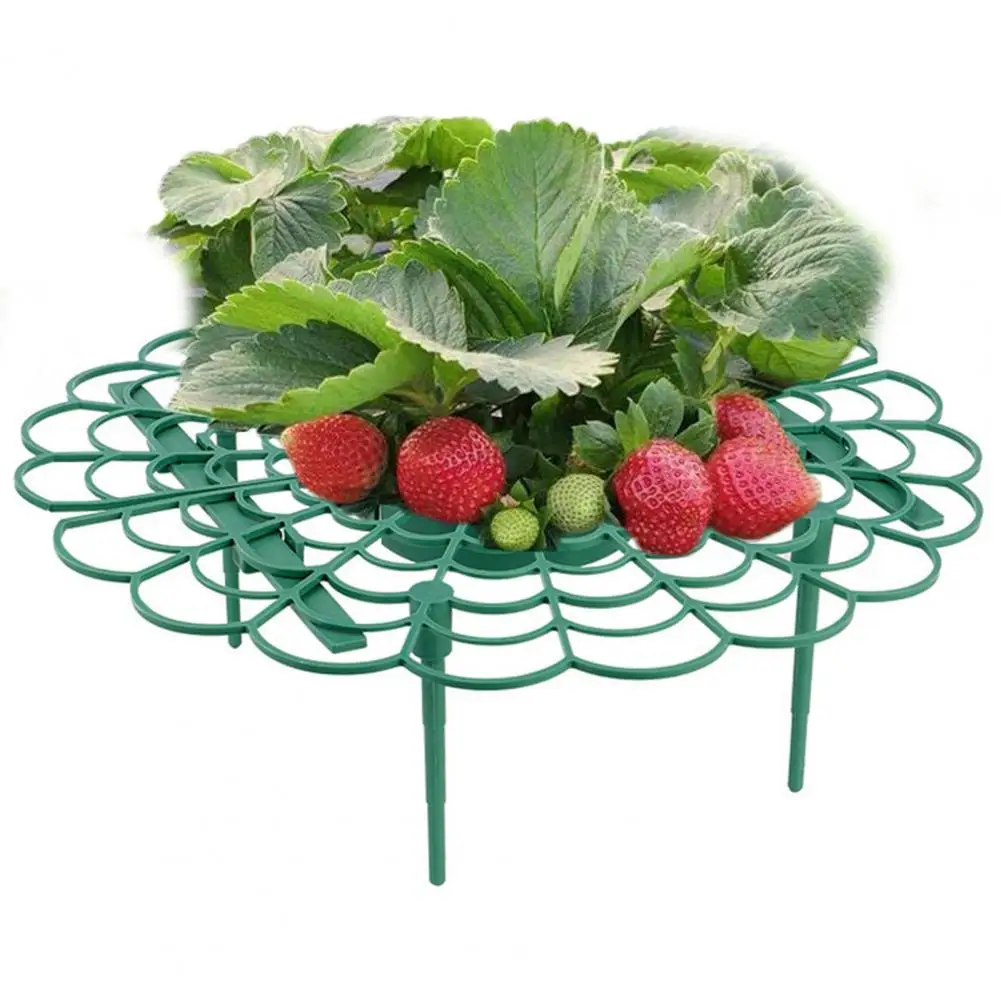 

1 Set Plant Support Durable Compact Anti-deformed Round Growing Storage Rack for Potted Storage Support Plant Stand