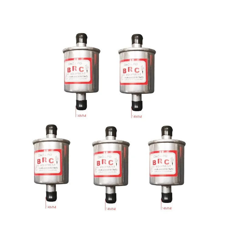 

5x Landi Landirenzo Type LPG CNG GPL Filter 14mm X 14mm