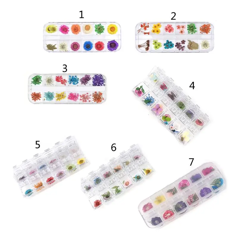 

Высушенные цветы для украшений из смолы, 12 цветов в коробке