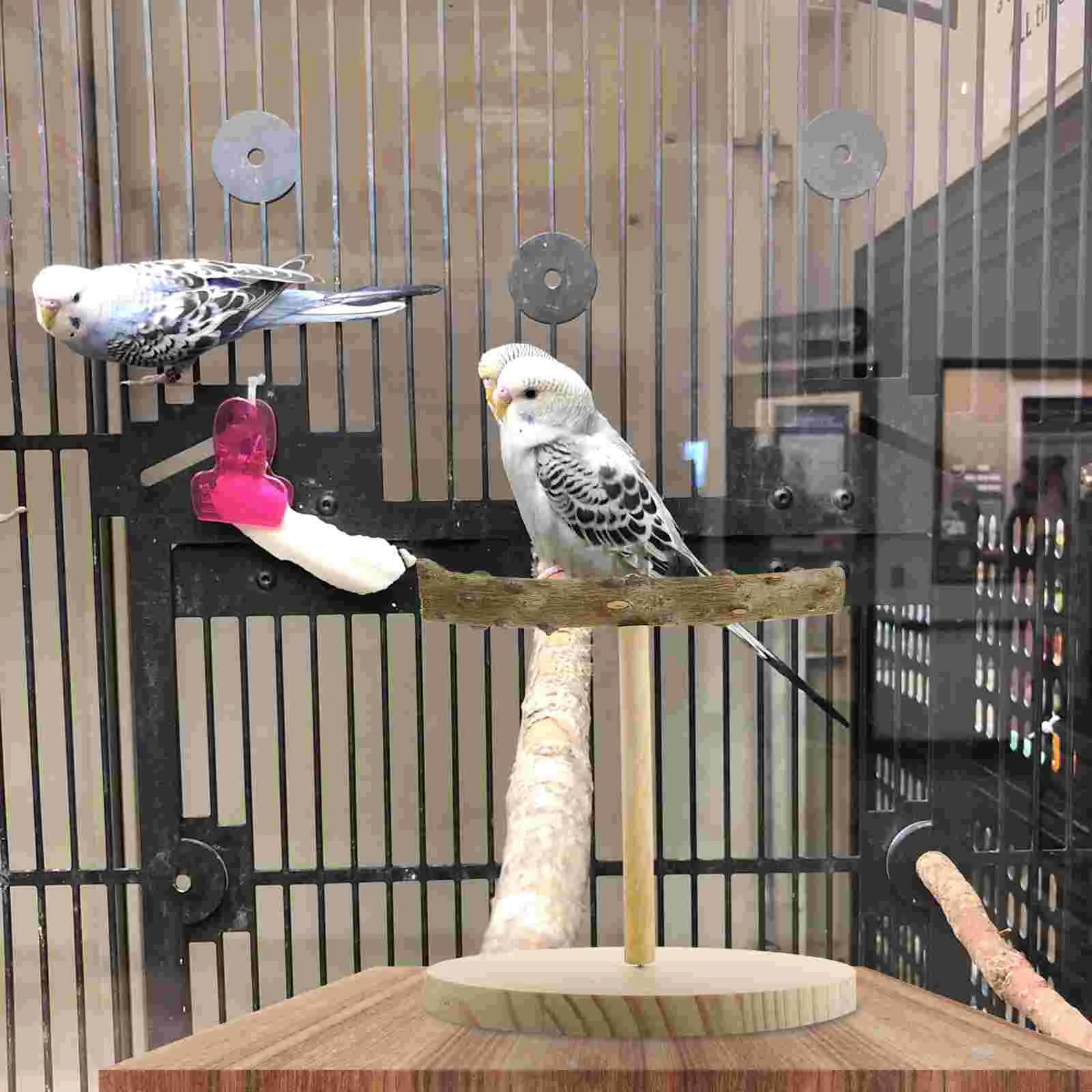 

Puzzle Toy Bird Perches Parakeets Parrot Stand Bird Parrot Training Stand Bird Toys Bird Stands