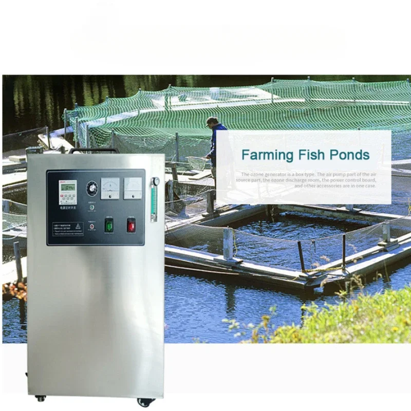 Промышленный 3G/hr портативный мини-генератор озона для дезинфекции бассейна