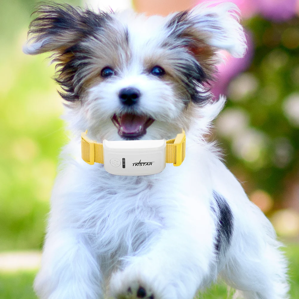 

GPS Location Collar Multifunctional Mini GPS Pet Collar Tracker Portable Creative Real Time Locating Practical for Pet Cats Dogs