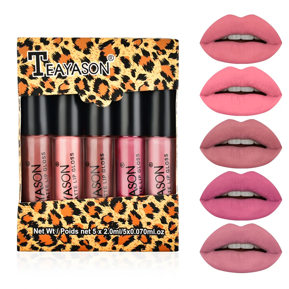 

HEALLOR 5 Colors/set Long Lasting Matte Lipstick Set Moisture Lips Makeup Waterproof Lip Glaze Velvet Red Lip Cosmetics Set