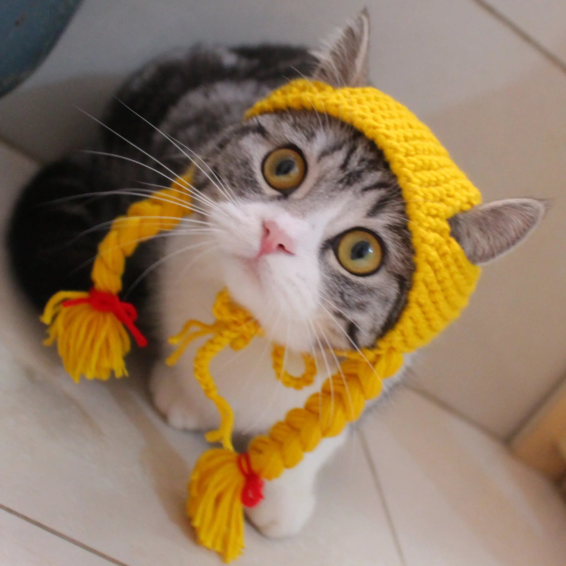 

Cat Accessories Cat Braid Wig Hat Quirky Pet Hat Garfield Pet Knitted Handmade Hat for Cats Dogs Cute Cosas Para Gatos Mascota