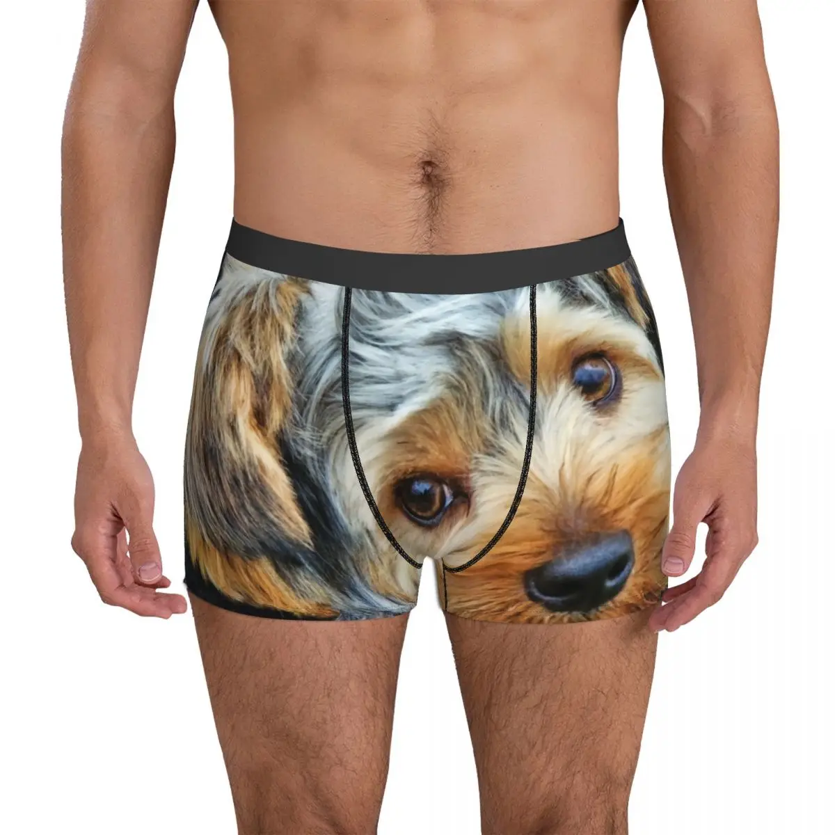 

Yorkshire Terrier Underwear Did You Call Me Male Boxer Brief Elastic Boxer Shorts Hot Print Oversize Underpants