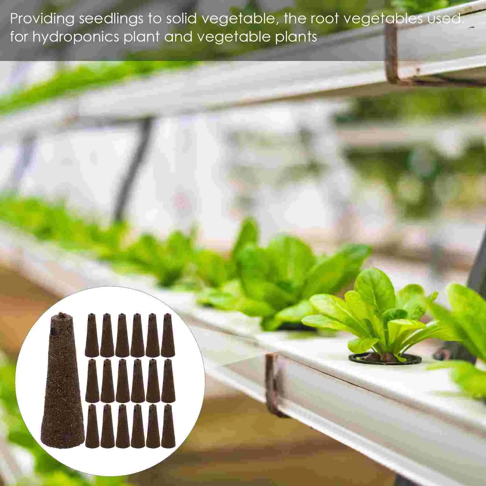 50 шт. губка для выращивания рассады овощей губки растений посадки пшеничной