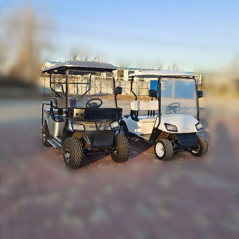 

2+2 Seats Electric Golf Cart Hunting Car with Powerful 5KW AC Motor Controller Electric Off-road Golf Cart Support Customization