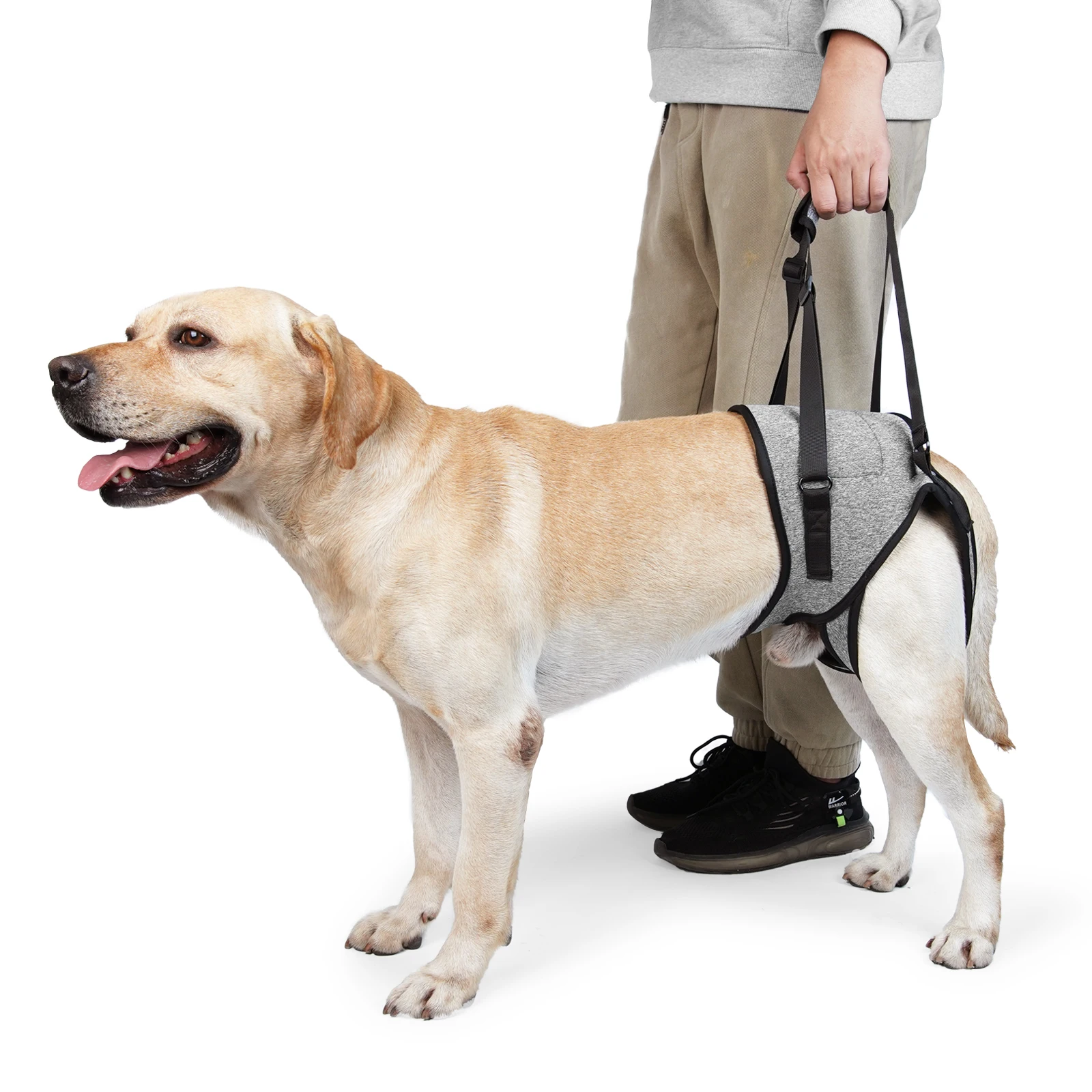 

Dog Leg Leash Lead Handheld Brace Harness Support Padded Outdoor Dog For Walking Disability For Pet Collar Protector Injury
