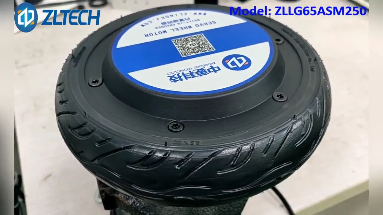 

ZLTECH 10inch 24V 48V 800W 40N.m 300kg load brushless AGV DC wheel hub servo motor with 4096 wire magnetic encoder for forklift