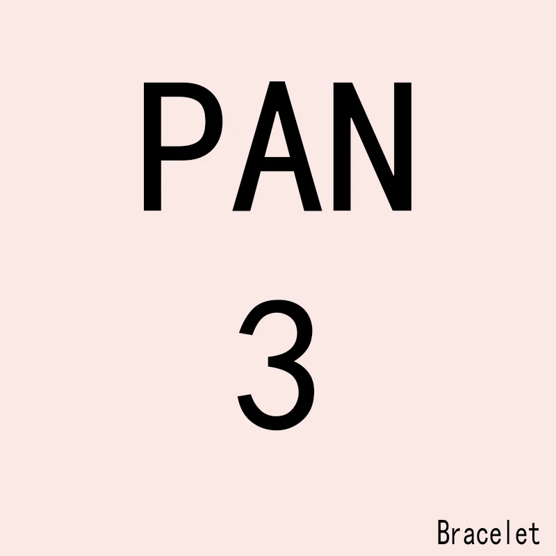 

PAN SL 3