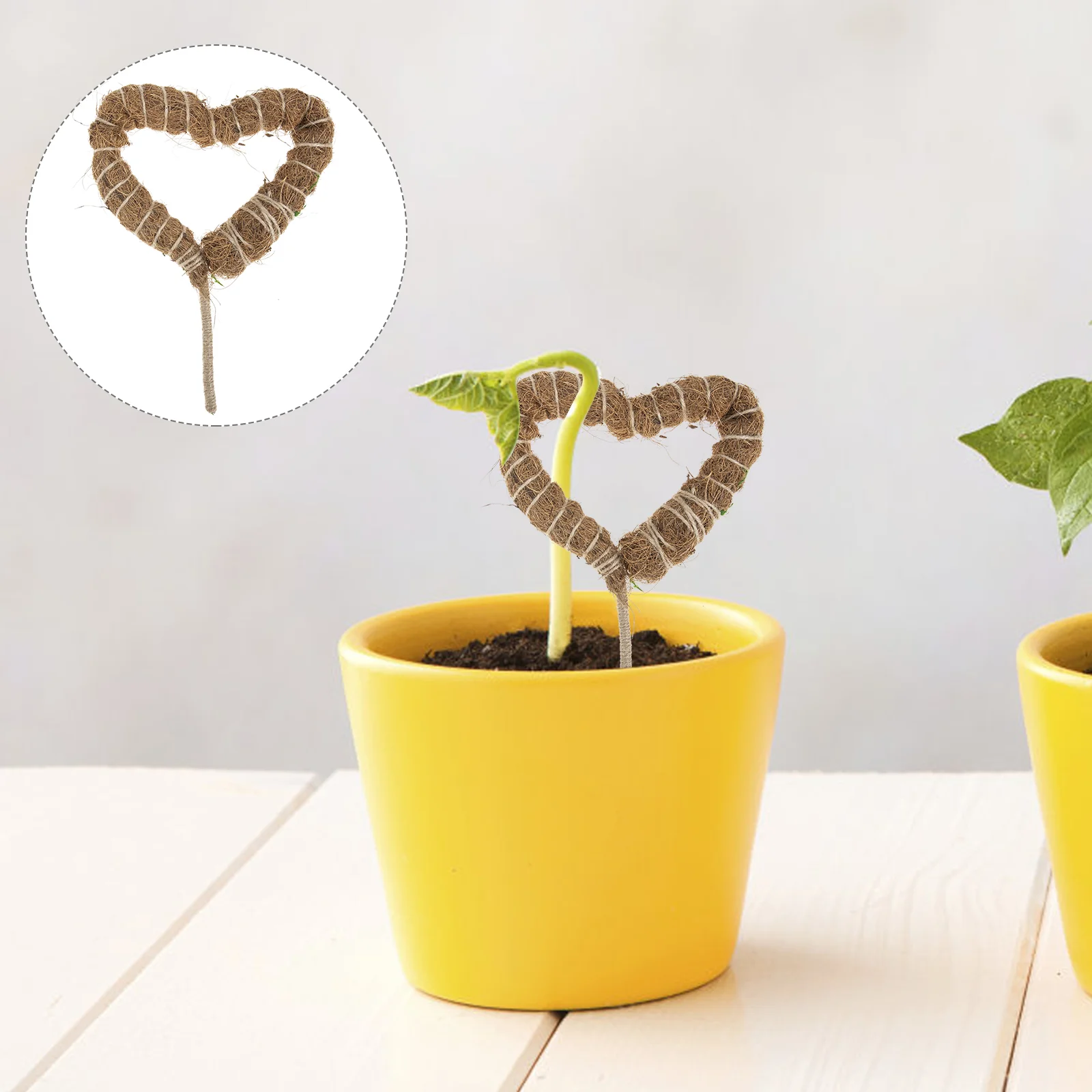 

Столб для растений, мох, столб для комнатных растений, монстера для растений, мох для растений, столбы для подъема растений